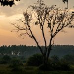 大江东去 当代 · 余光中